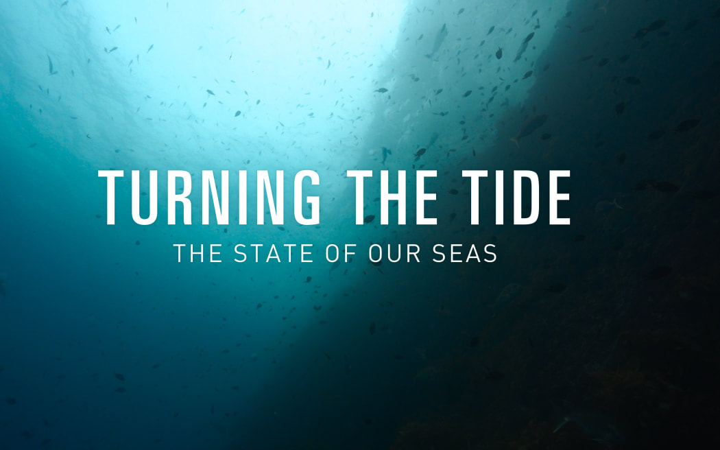 Turning the Tide E1 (text)
