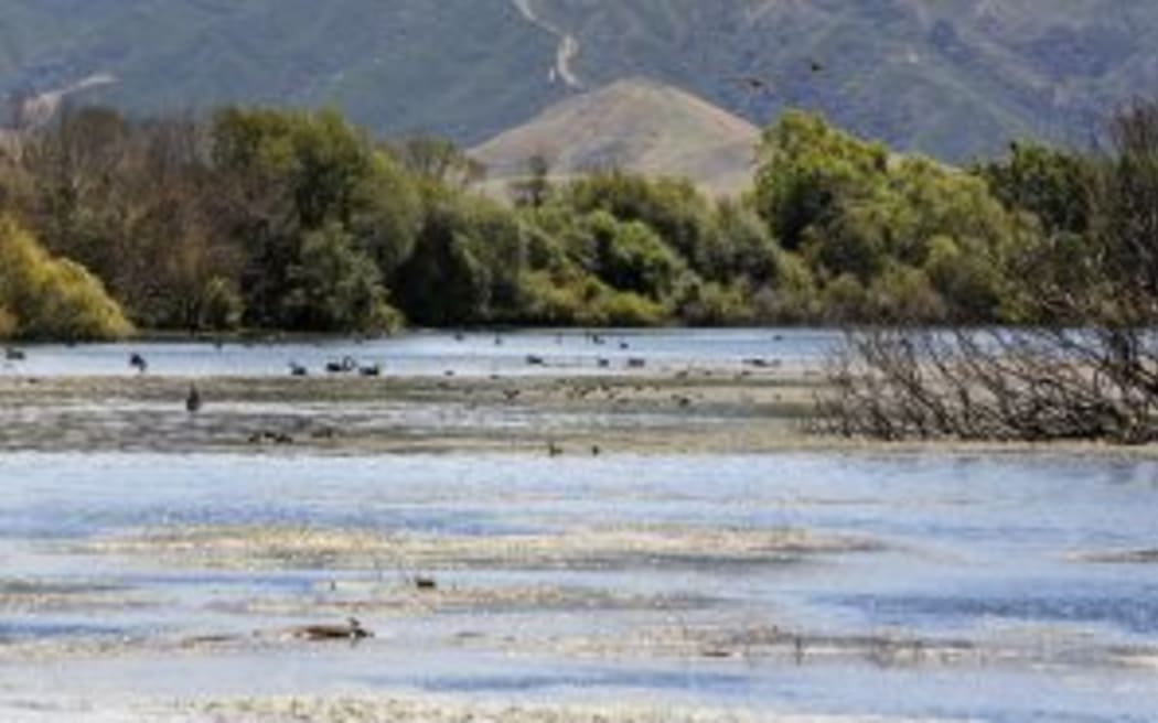 A draft management plan for Grovetown Lagoon has been released for consultation.
