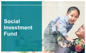 Image for Social Investment Fund