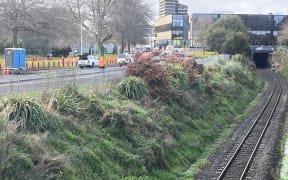 The bank under Bryce St that is at risk of collapsing on the rail corridor below.