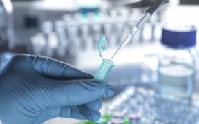 Pharmaceutical research. Scientist preparing sample ready for automated analysis in a lab.