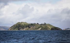 Matiu/Sommes Island, Wellington