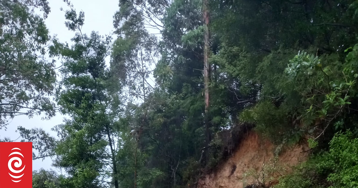 Civil Defence staff assess Cyclone Hale damage | RNZ