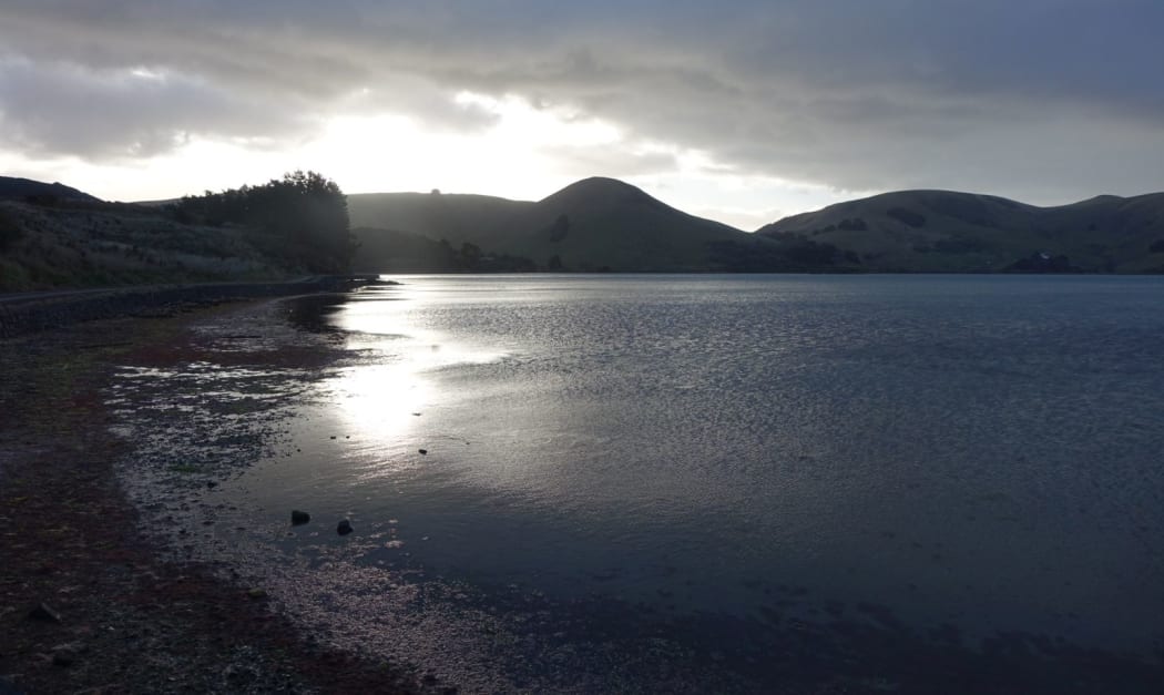 Papanui Inlet on Otago Peninsula