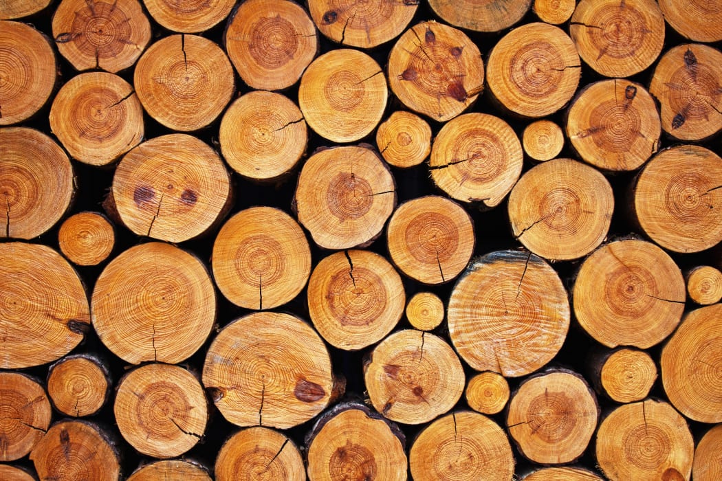 Wood logs.