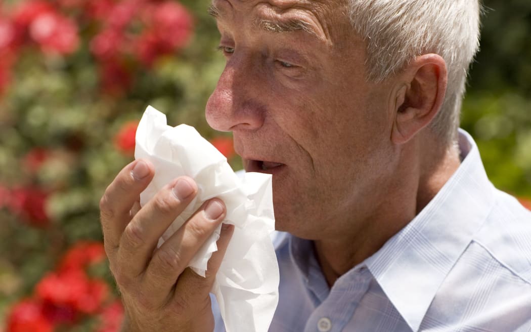 Hay fever