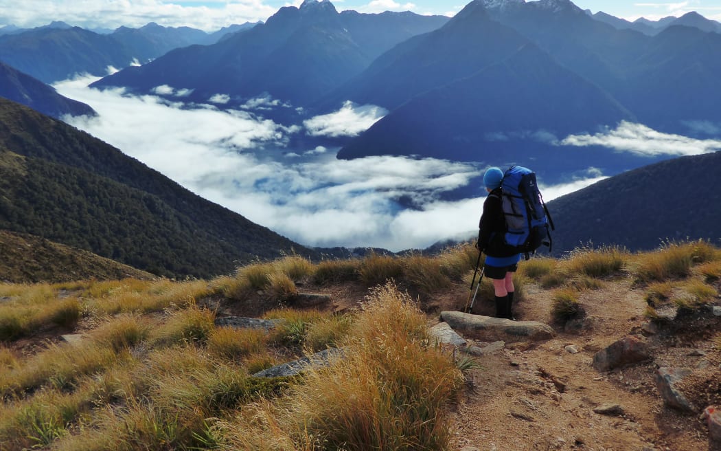 Kepler Track.