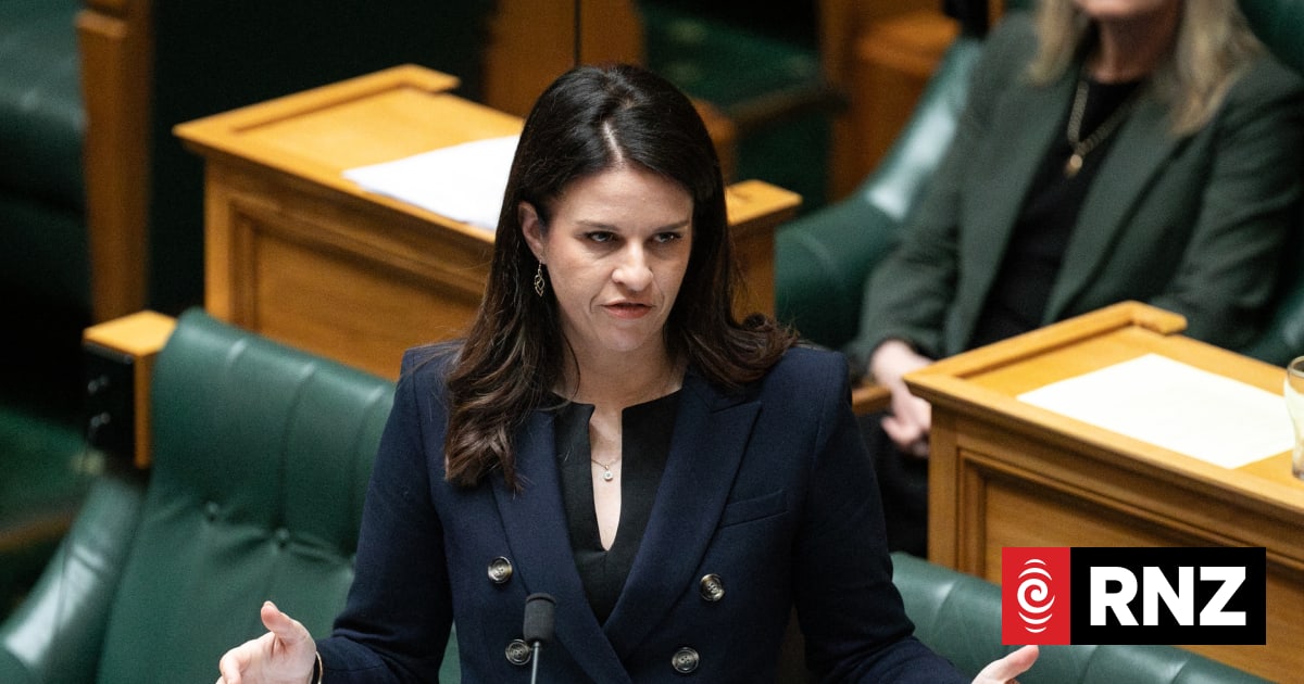 Tauranga teen urges government to give youth a greater say over social media ban