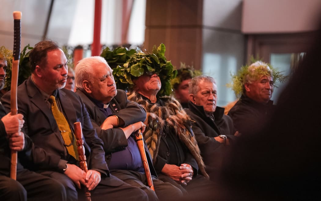 Iwi representatives at Te Papa’s repatriation pōwhiri.