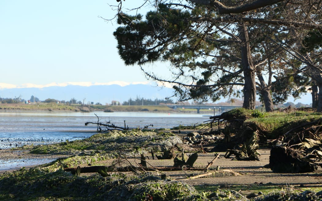 The Avon-Heathcote estuary