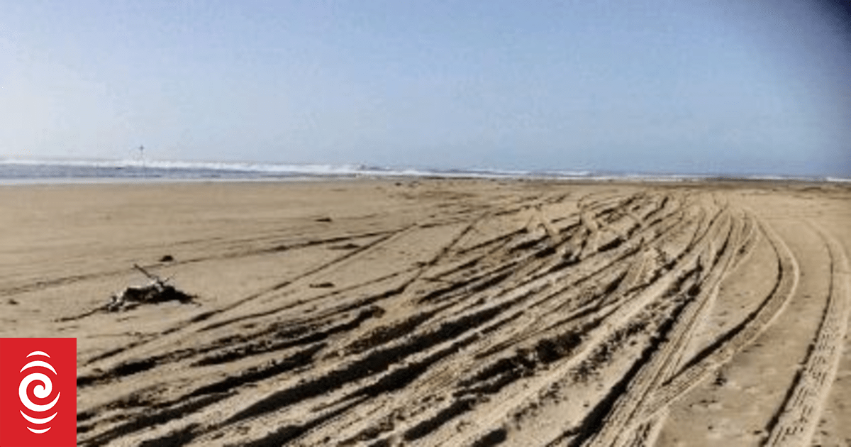 Catlins resident calls for beach bylaw changes after car salesmen race, do 'doughnuts'