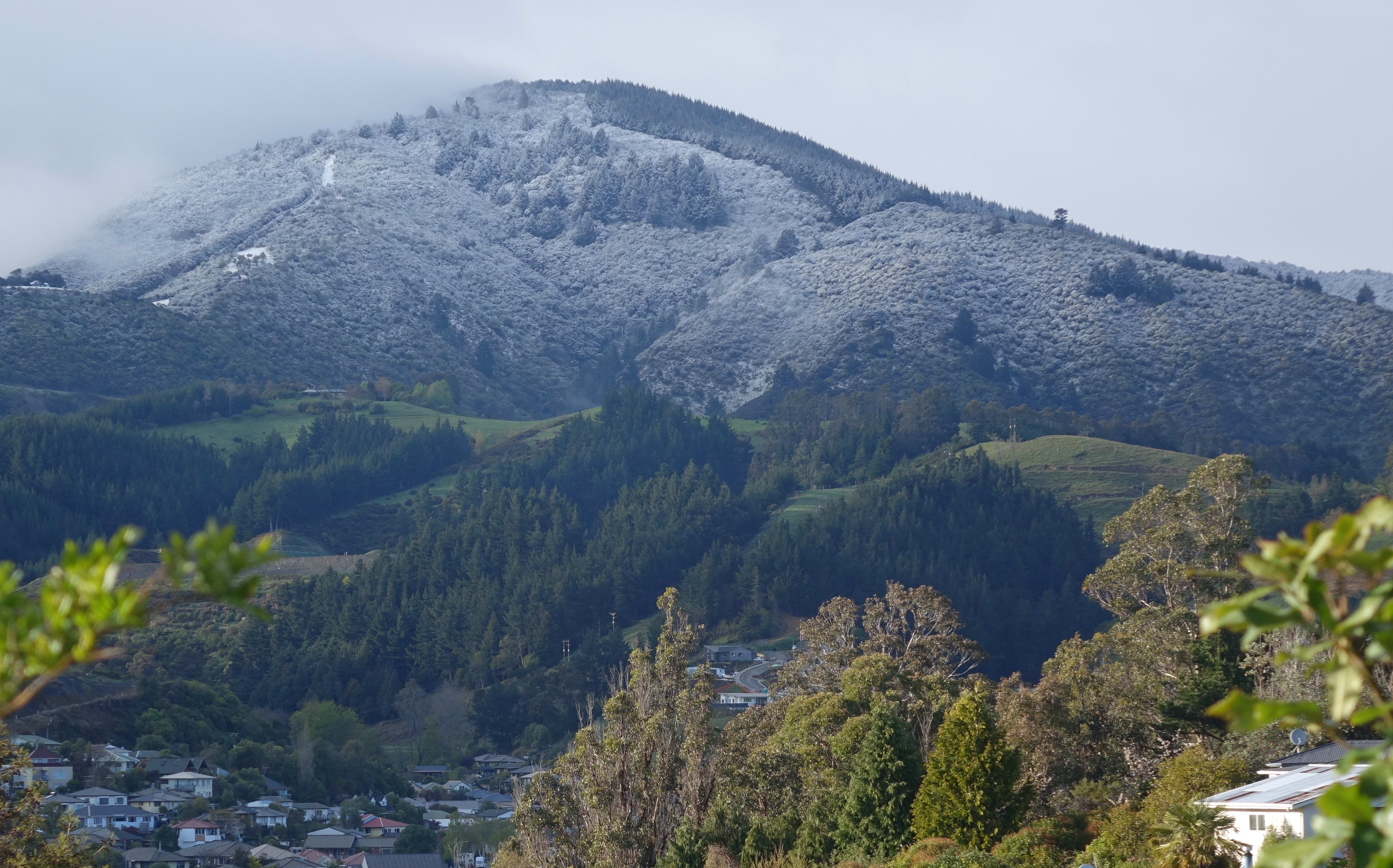 Snow above Nelson City.