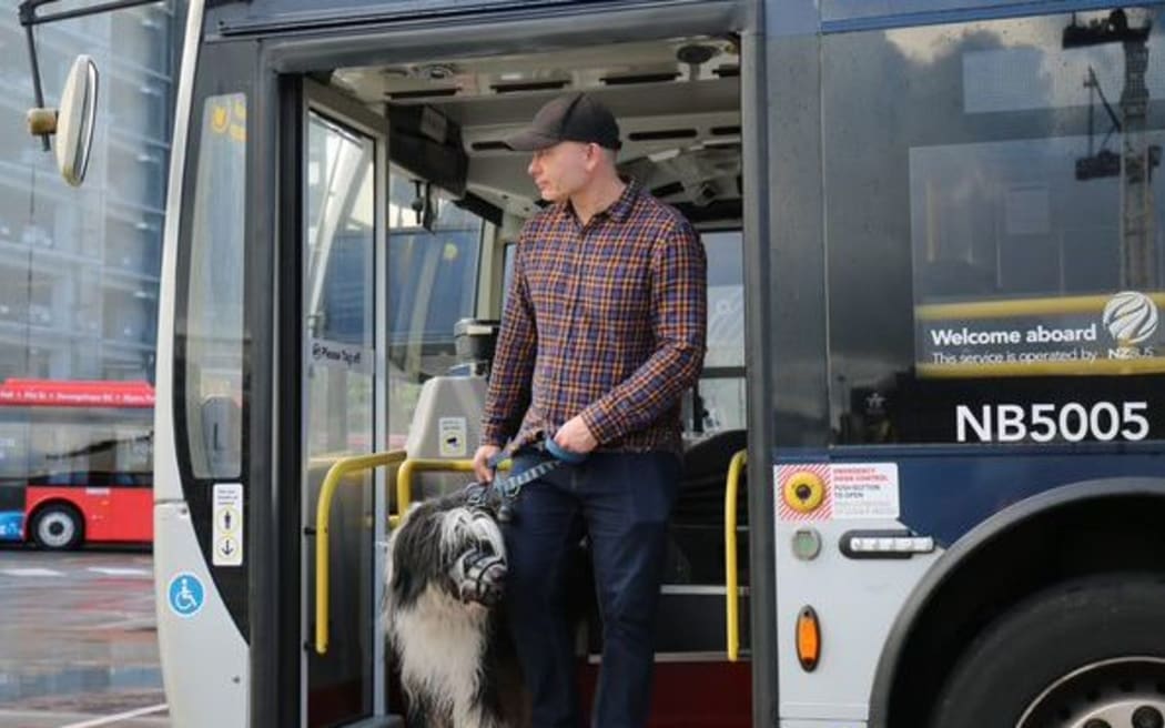 Large dogs on buses in Auckland