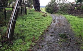 Cyclone Gabrielle is causing havoc in the Far North, downing trees and powerlines. Photos by Top Energy NZ