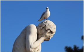 A sea gull standing on the head of a statue facepalming.