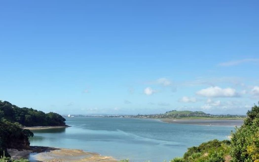 Manukau harbour