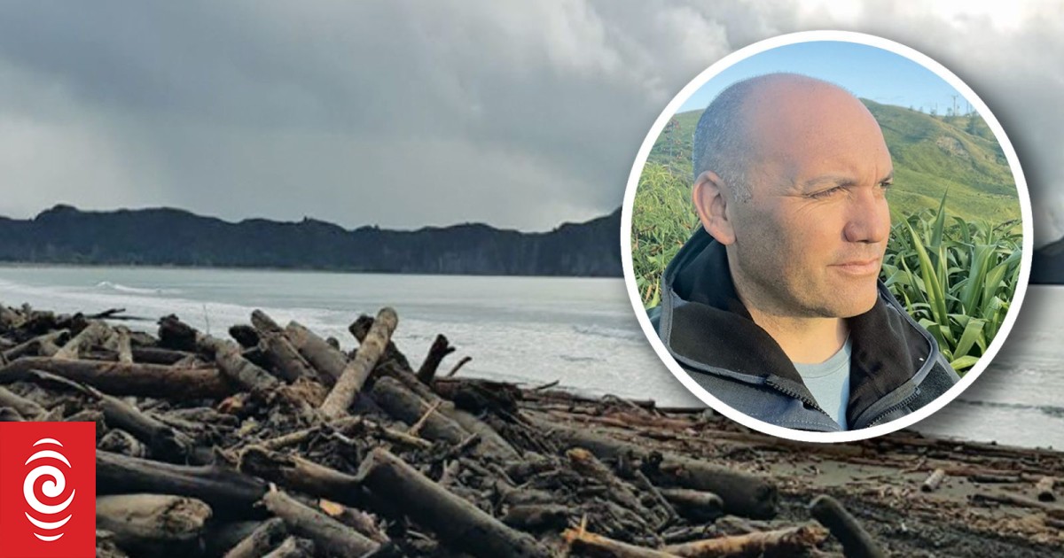 Environmentalists celebrate court victory but question insurance cover for fines