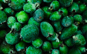Feijoas.