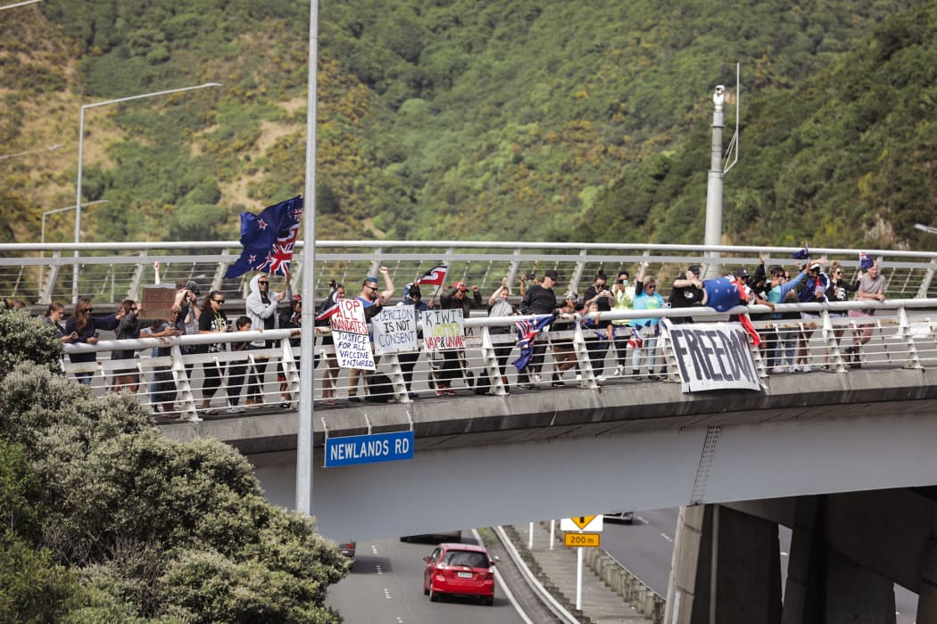 Protest convoy supporters hold signs at the Newlands Road interchange near Wellington.