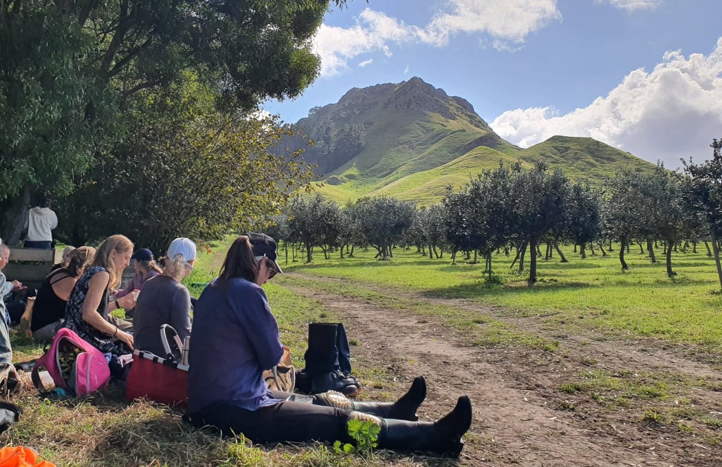 Heather provides flexible hours over the feijoa harvest which attracts many mothers to come and pick