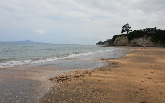 Auckland's Browns Bay.