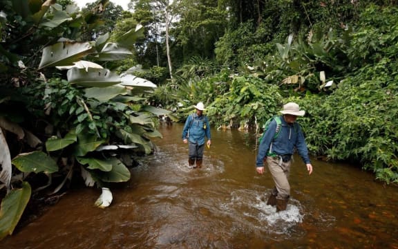 Searching for the Lost City of the Monkey God