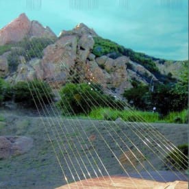 Biggest harp on sale