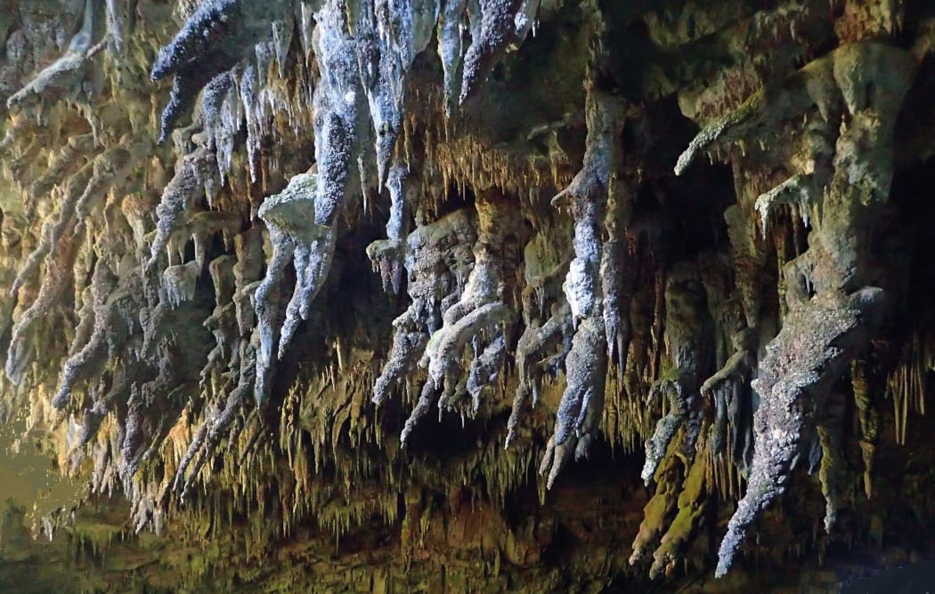 Stalactites at Rāwhiti Cave, near Tākaka