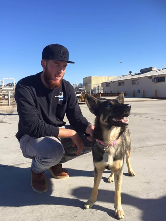 Luna, an 18-month-old German shepherd mix, reunites with Conner Lamb, a friend of her owner, at Naval Air Station North Island, San Diego, after going missing for five weeks.