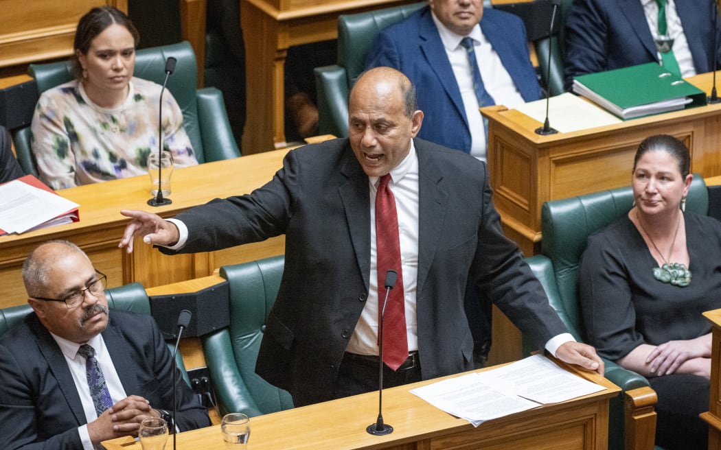 Labour MP Willie Jackson speaks in the first reading debate for the Principles of the Treaty of Waitangi Bill.