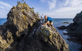 Matt Rayner applies fake poo among 3D printed dummy shags on the Noises Islands in the Hauraki Gulf.