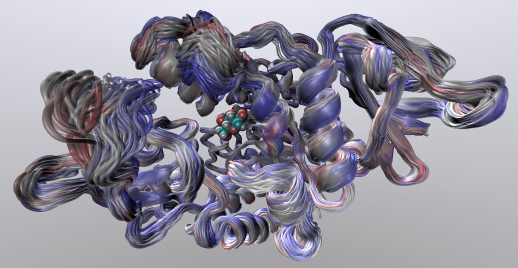 A model of the maltase enzyme, MalL. The enzyme splits maltose into two glucose molecules.