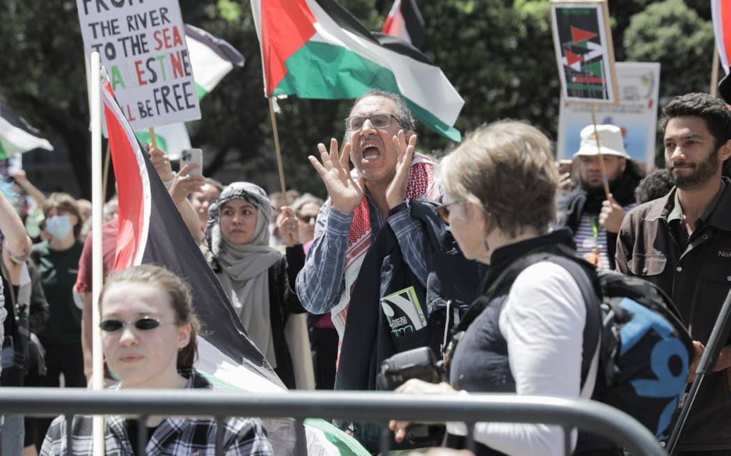 Protesters gather outside Parliament to call for an immediate and permanent ceasefire in Gaza.