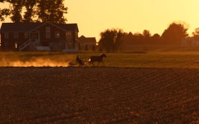 Amish ride a horse carriage at sunset, in Paradise, Lancaster County, Pennsylvania, 17 October, 2024.