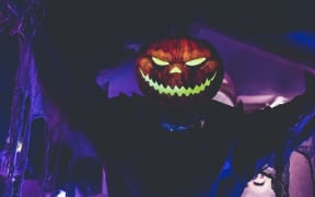 A lit up and carved out pumpkin for Halloween.