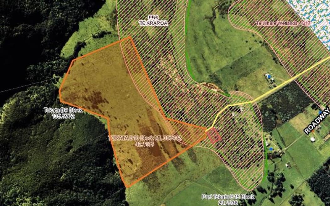 An aerial photograph shows the overlap of the mānuka plantation, marked in red, with the southwestern section of Te Whare Wetlands.