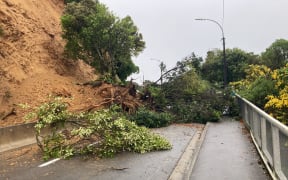 A slip blocked Birdwood St, Karori, Wellington on Monday 3 October 2022.