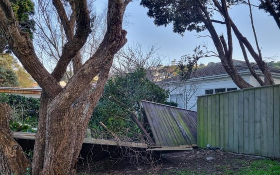 Trees and fences in Miramar toppled in the extreme winds on Sunday night.