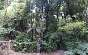 Maungatautari in Waikato is the country's largest mainland ecological restoration project.