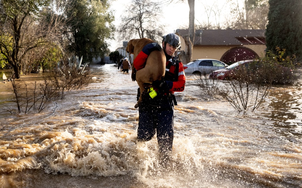 San Diego firefighter Brian Sanford rescues a dog from a flooded home in Merced, California, on January 10, 2023. - Relentless storms were ravaging California again Tuesday, the latest bout of extreme weather that has left 14 people dead. Fierce storms caused flash flooding, closed key highways, toppled trees and swept away drivers and passengers -- reportedly including a five-year-old-boy who remains missing in central California. (Photo by JOSH EDELSON / AFP)