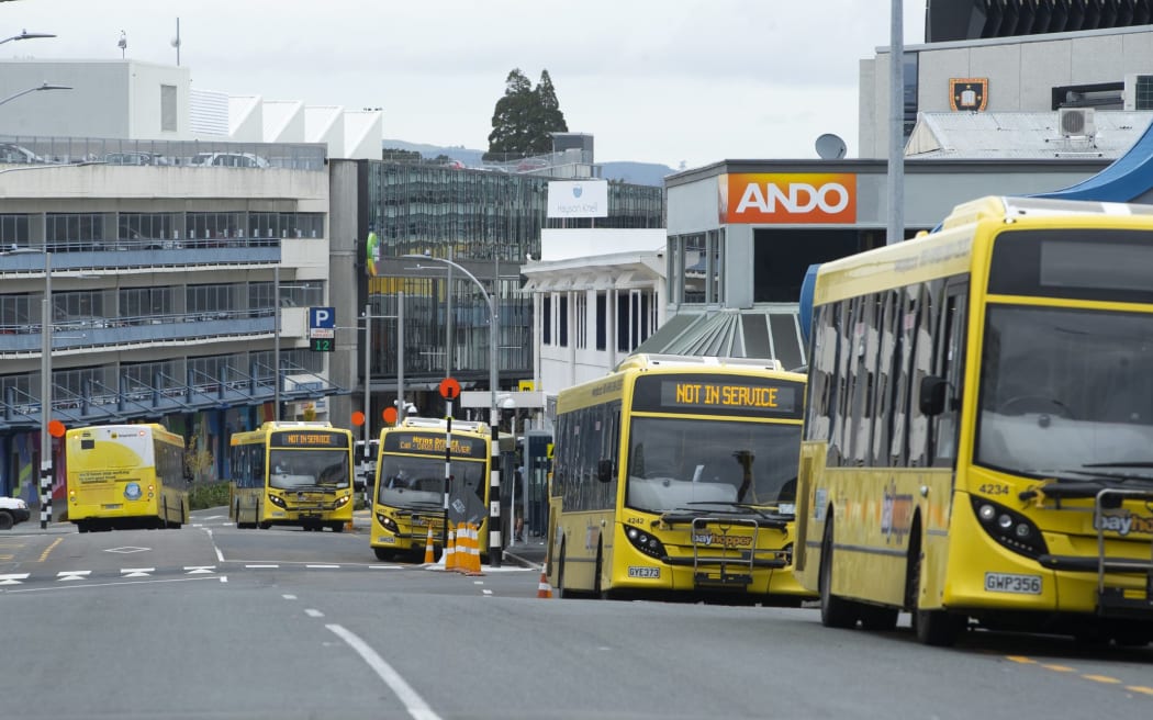 Buses on Durham St, Tauranga
