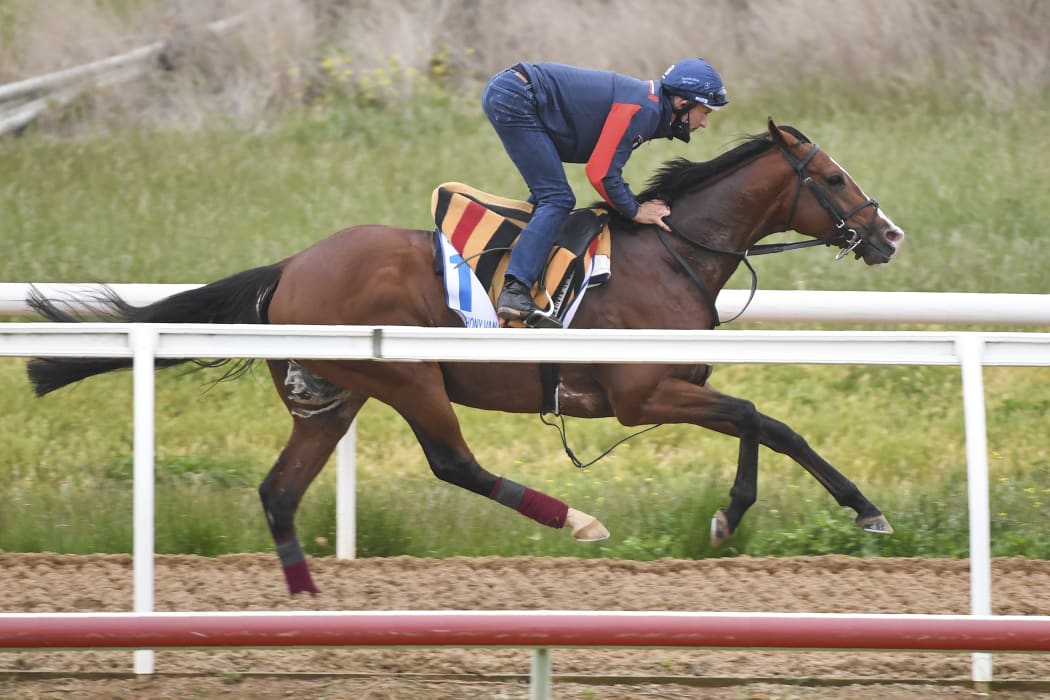 A handout photo taken and released on November 2, 2020 by Racing Photos shows Irish horse Anthony Van Dyck galloping at Werribee Racecourse on November 2, 2020, ahead of the Melbourne Cup horse race to be run November 3.