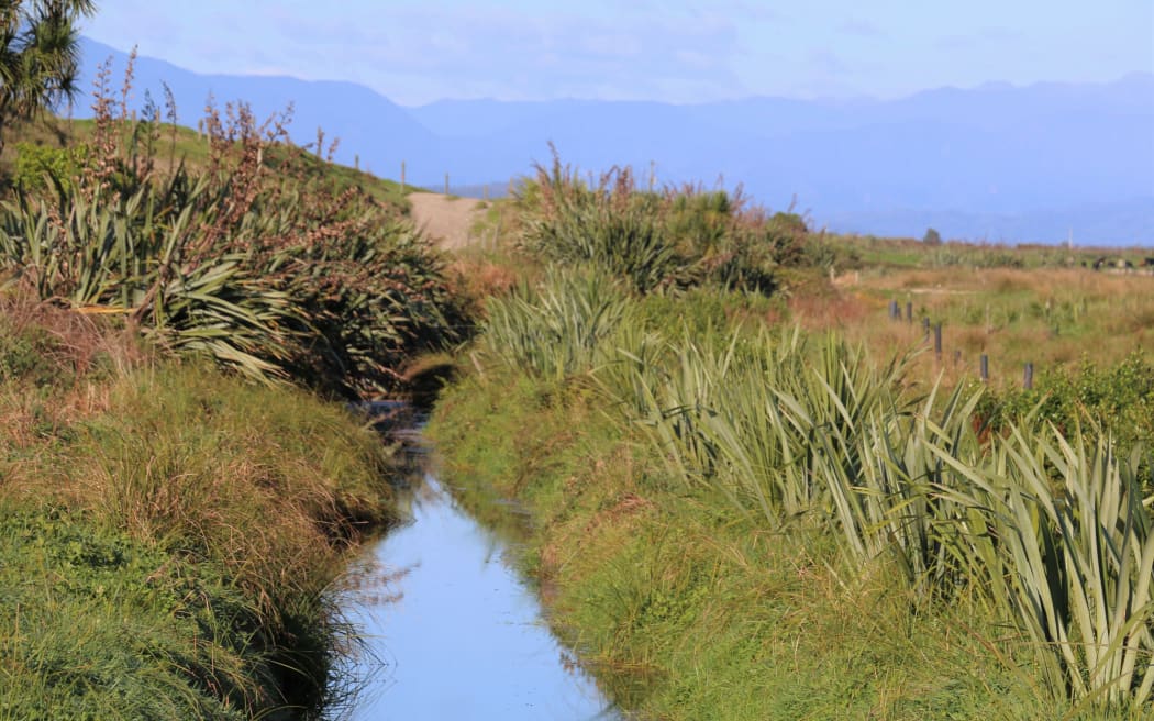 clean streams karamea