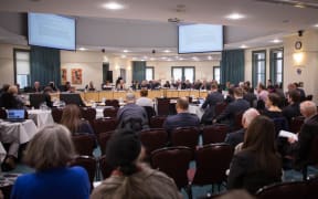 Council development committee meeting about Unitary Plan. 10 August 2016.