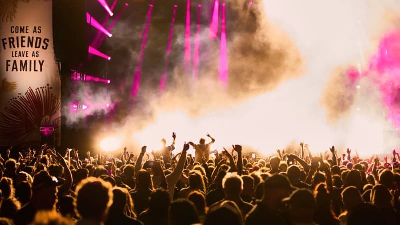 Homegrown will return to its Waikato site in 2026.