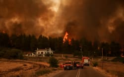 Firefighters stand on a road as flames rise from a forest in the background in the village of Kyrynthos, in the north of Evia Island .