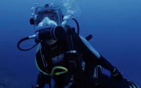 Diving in the Gardens of the Queens in Cuba