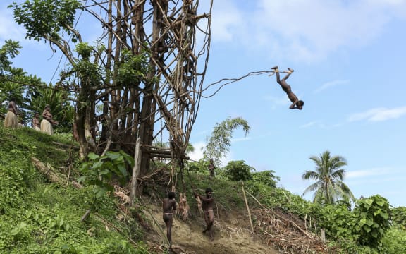 Traditional land diving ritual (Nangol) with vines tied to their feet, origin of modern Bungee Jumping, EDITORIAL