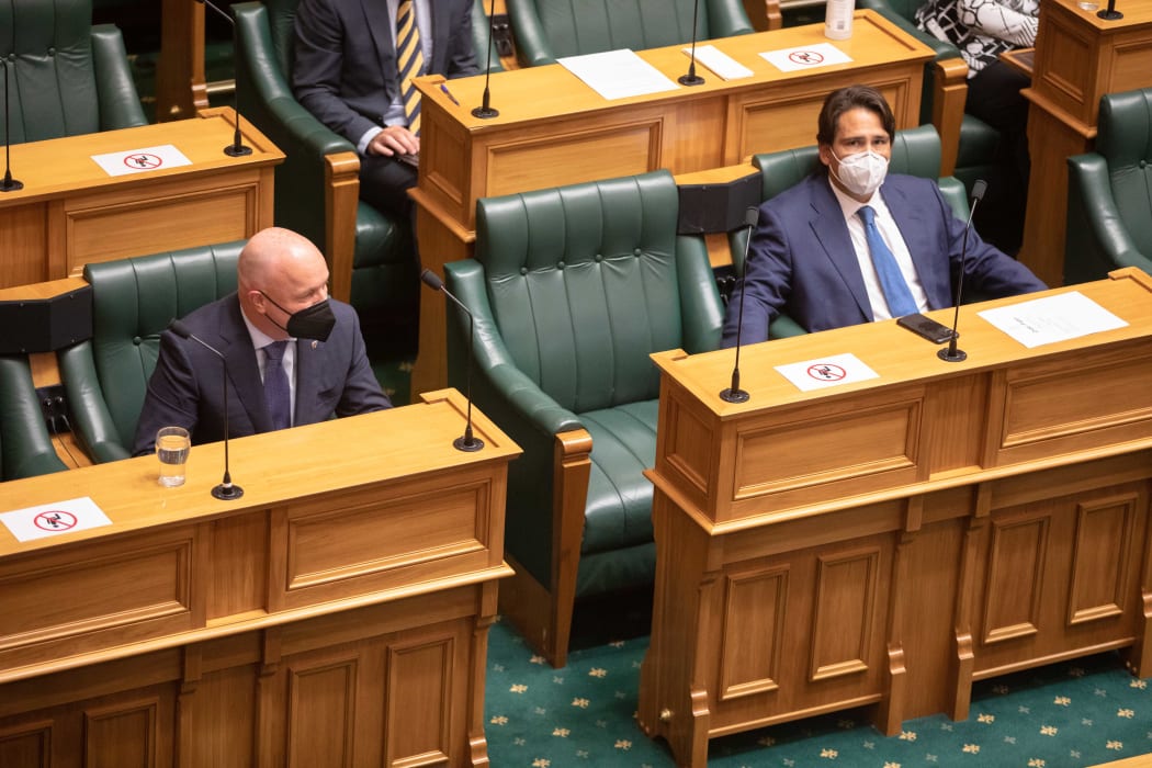 Christopher Luxon and Simon Bridges