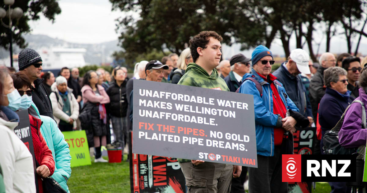 Government imposes 10 years of performance requirements on Tiaki Wai